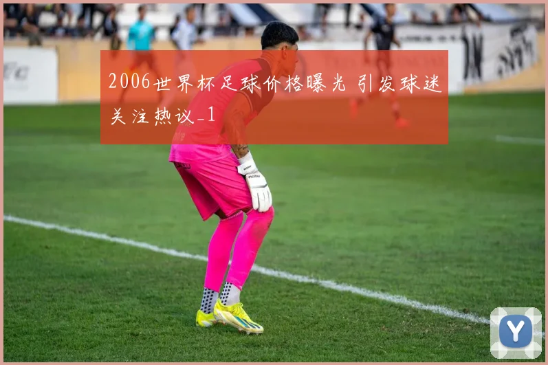 2006世界杯足球价格曝光 引发球迷关注热议_1