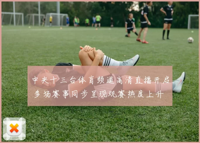 中央十三台体育频道高清直播开启 多场赛事同步呈现观赛热度上升