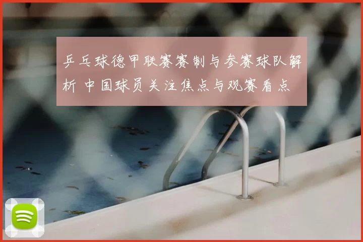 乒乓球德甲联赛赛制与参赛球队解析 中国球员关注焦点与观赛看点