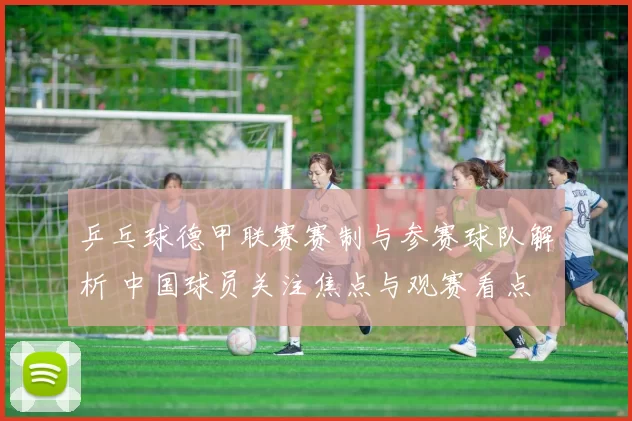 乒乓球德甲联赛赛制与参赛球队解析 中国球员关注焦点与观赛看点