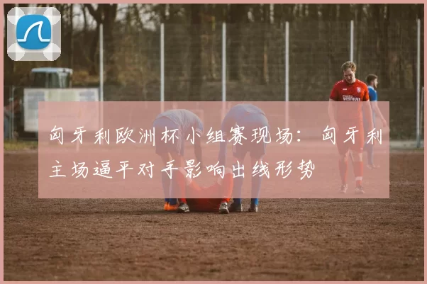 匈牙利欧洲杯小组赛现场：匈牙利主场逼平对手影响出线形势